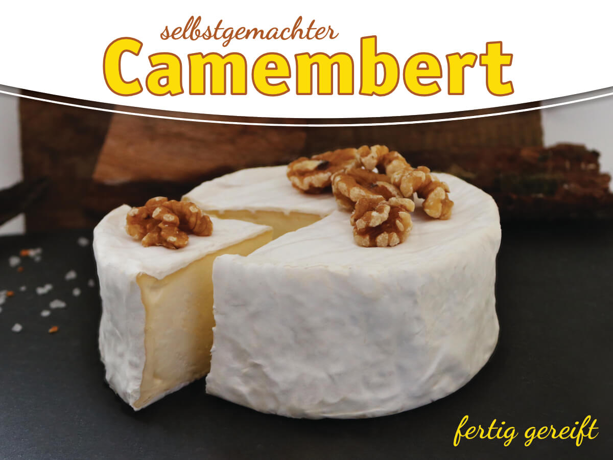 Camembert fertig gereift